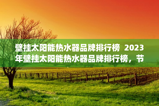 壁挂太阳能热水器品牌排行榜  2023年壁挂太阳能热水器品牌排行榜，节能环保，告别热水烦恼！