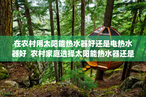 在农村用太阳能热水器好还是电热水器好  农村家庭选择太阳能热水器还是电热水器，全面分析利弊与适用场景