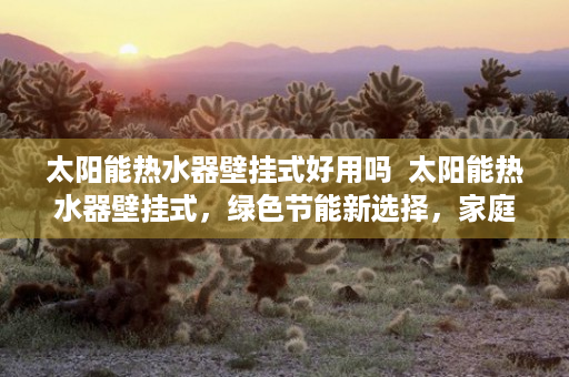 太阳能热水器壁挂式好用吗  太阳能热水器壁挂式，绿色节能新选择，家庭环保必备神器！