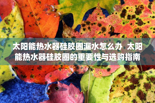 太阳能热水器硅胶圈漏水怎么办  太阳能热水器硅胶圈的重要性与选购指南