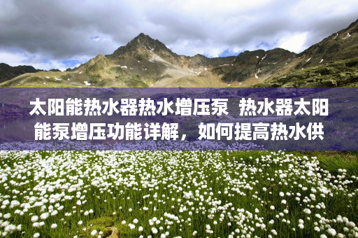 太阳能热水器热水增压泵  热水器太阳能泵增压功能详解，如何提高热水供应效率与节能环保
