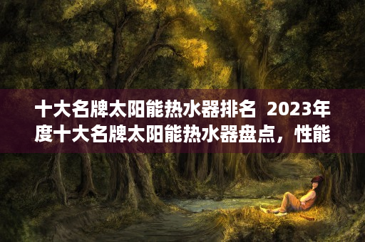 十大名牌太阳能热水器排名  2023年度十大名牌太阳能热水器盘点，性能、品牌与性价比全方位解析