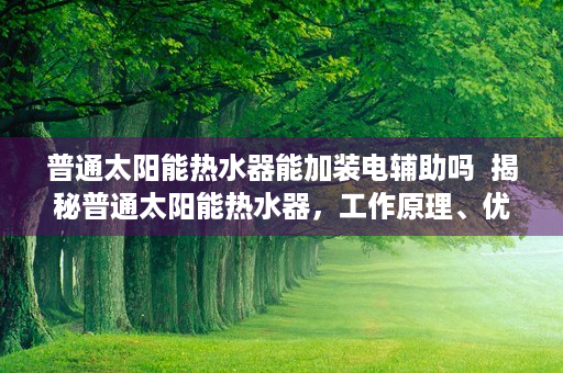 普通太阳能热水器能加装电辅助吗  揭秘普通太阳能热水器，工作原理、优缺点及选购指南