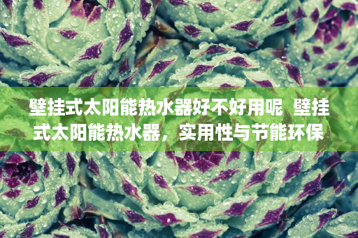 壁挂式太阳能热水器好不好用呢  壁挂式太阳能热水器，实用性与节能环保的双重保障，你值得拥有！