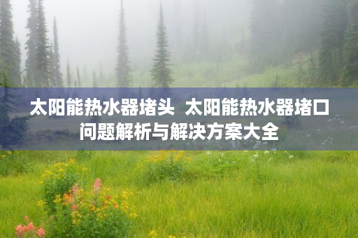 太阳能热水器堵头  太阳能热水器堵口问题解析与解决方案大全