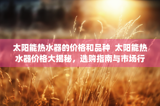 太阳能热水器的价格和品种  太阳能热水器价格大揭秘，选购指南与市场行情分析