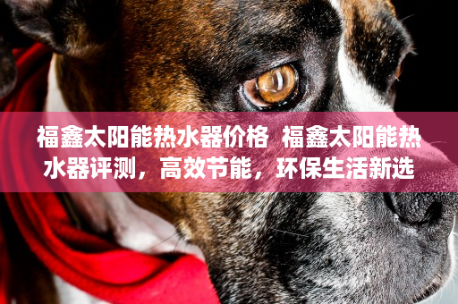 福鑫太阳能热水器价格  福鑫太阳能热水器评测，高效节能，环保生活新选择