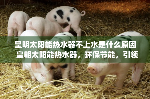 皇明太阳能热水器不上水是什么原因  皇朝太阳能热水器，环保节能，引领绿色生活新潮流