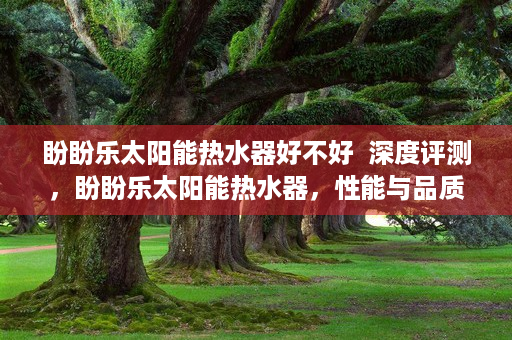 盼盼乐太阳能热水器好不好  深度评测，盼盼乐太阳能热水器，性能与品质的双重保障