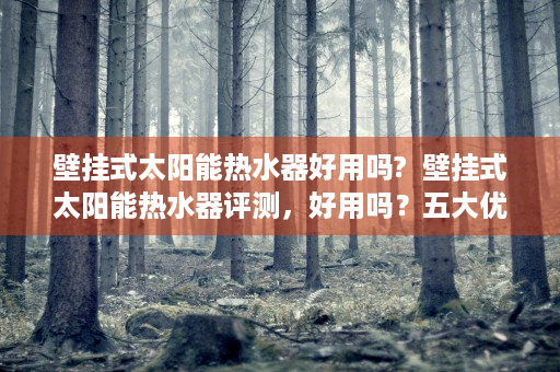 壁挂式太阳能热水器好用吗?  壁挂式太阳能热水器评测，好用吗？五大优势与注意事项解析