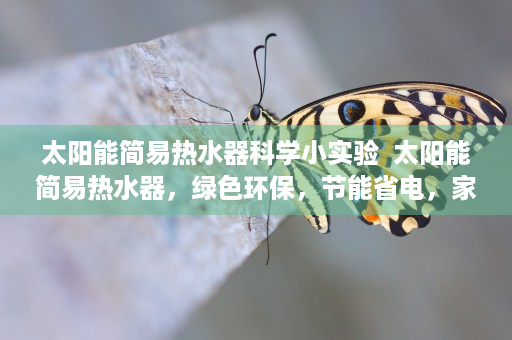 太阳能简易热水器科学小实验  太阳能简易热水器，绿色环保，节能省电，家庭热水新选择