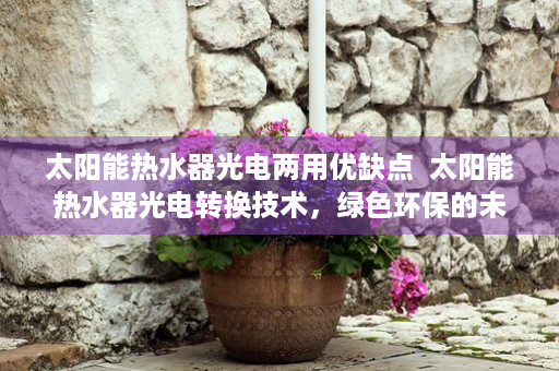 太阳能热水器光电两用优缺点  太阳能热水器光电转换技术，绿色环保的未来家居选择