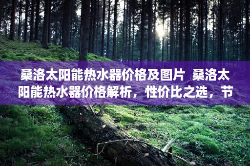 桑洛太阳能热水器价格及图片  桑洛太阳能热水器价格解析，性价比之选，节能环保生活新体验