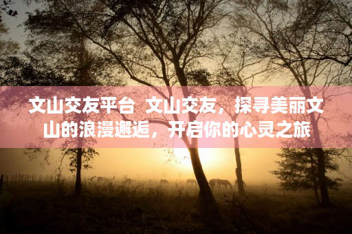 文山交友平台  文山交友，探寻美丽文山的浪漫邂逅，开启你的心灵之旅
