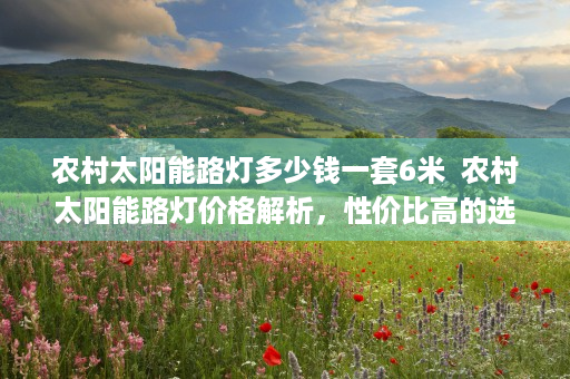 农村太阳能路灯多少钱一套6米  农村太阳能路灯价格解析，性价比高的选购指南