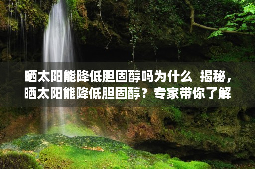 晒太阳能降低胆固醇吗为什么  揭秘，晒太阳能降低胆固醇？专家带你了解阳光与健康的秘密！