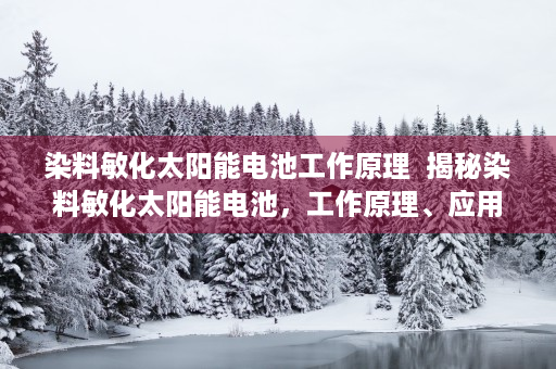 染料敏化太阳能电池工作原理  揭秘染料敏化太阳能电池，工作原理、应用前景及未来发展趋势