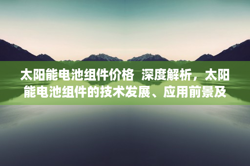 太阳能电池组件价格  深度解析，太阳能电池组件的技术发展、应用前景及市场趋势
