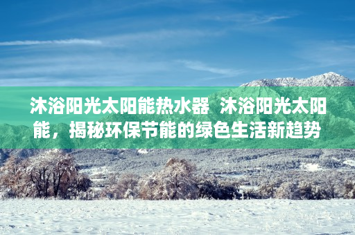 沐浴阳光太阳能热水器  沐浴阳光太阳能，揭秘环保节能的绿色生活新趋势