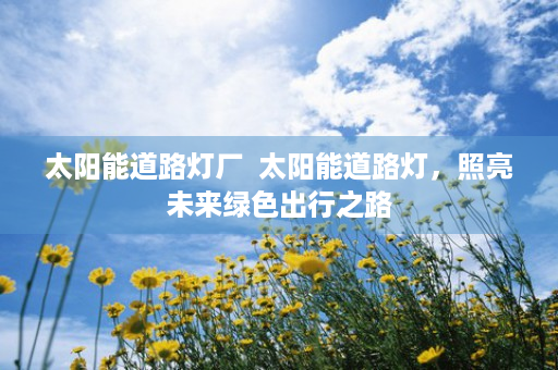 太阳能道路灯厂  太阳能道路灯，照亮未来绿色出行之路