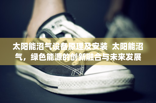 太阳能沼气设备原理及安装  太阳能沼气，绿色能源的创新融合与未来发展