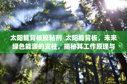 太阳能背板胶粘剂  太阳能背板，未来绿色能源的支柱，揭秘其工作原理与市场前景