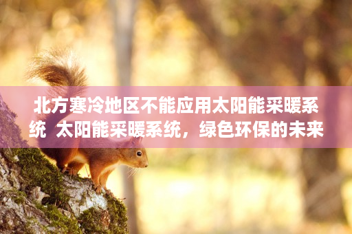 北方寒冷地区不能应用太阳能采暖系统  太阳能采暖系统，绿色环保的未来家居解决方案