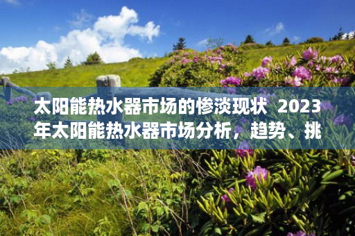 太阳能热水器市场的惨淡现状  2023年太阳能热水器市场分析，趋势、挑战与机遇并存