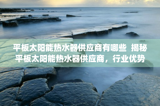 平板太阳能热水器供应商有哪些  揭秘平板太阳能热水器供应商，行业优势、选购技巧及未来发展趋势