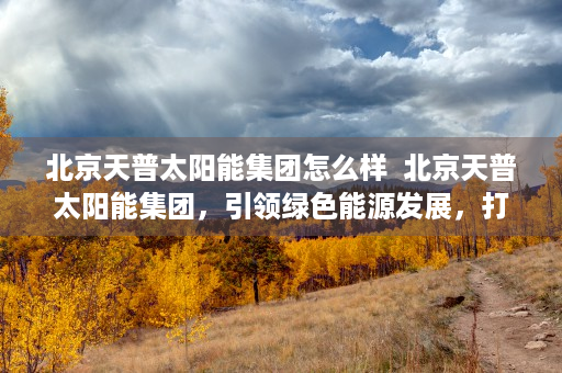 北京天普太阳能集团怎么样  北京天普太阳能集团，引领绿色能源发展，打造可持续发展新标杆