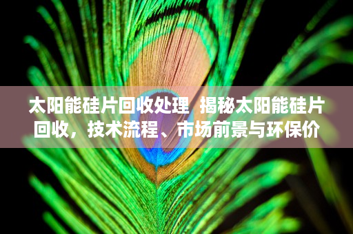 太阳能硅片回收处理  揭秘太阳能硅片回收，技术流程、市场前景与环保价值