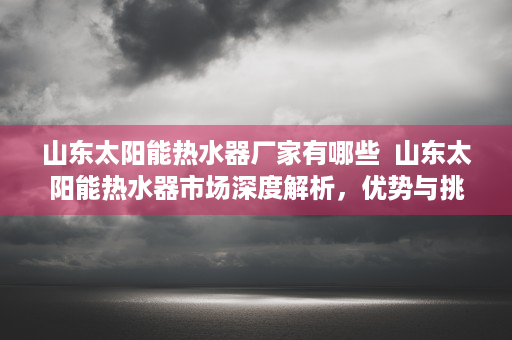 山东太阳能热水器厂家有哪些  山东太阳能热水器市场深度解析，优势与挑战并存，未来发展可期