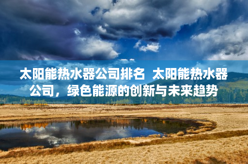 太阳能热水器公司排名  太阳能热水器公司，绿色能源的创新与未来趋势