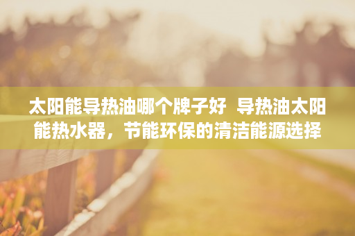 太阳能导热油哪个牌子好  导热油太阳能热水器，节能环保的清洁能源选择