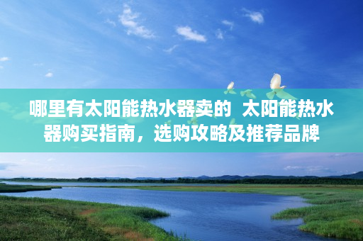 哪里有太阳能热水器卖的  太阳能热水器购买指南，选购攻略及推荐品牌