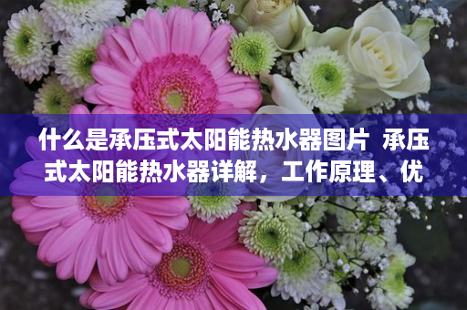 什么是承压式太阳能热水器图片  承压式太阳能热水器详解，工作原理、优缺点与选购指南