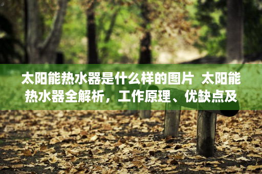 太阳能热水器是什么样的图片  太阳能热水器全解析，工作原理、优缺点及选购指南