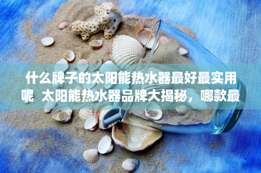 什么牌子的太阳能热水器最好最实用呢  太阳能热水器品牌大揭秘，哪款最实用，性价比之王！