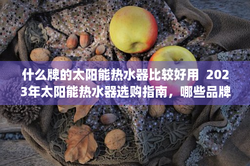什么牌的太阳能热水器比较好用  2023年太阳能热水器选购指南，哪些品牌值得信赖？