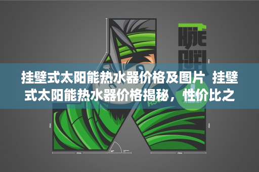 挂壁式太阳能热水器价格及图片  挂壁式太阳能热水器价格揭秘，性价比之选，如何选购？