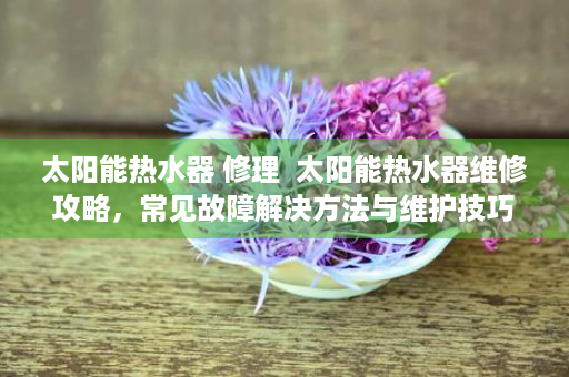 太阳能热水器 修理  太阳能热水器维修攻略，常见故障解决方法与维护技巧