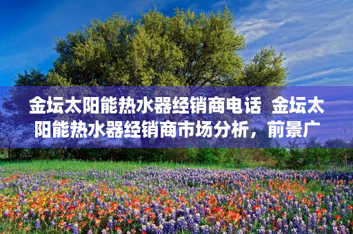 金坛太阳能热水器经销商电话  金坛太阳能热水器经销商市场分析，前景广阔，如何选择优质品牌？