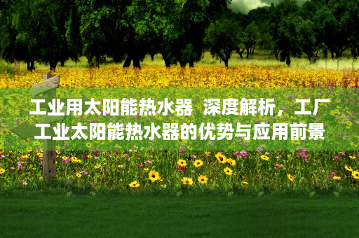 工业用太阳能热水器  深度解析，工厂工业太阳能热水器的优势与应用前景