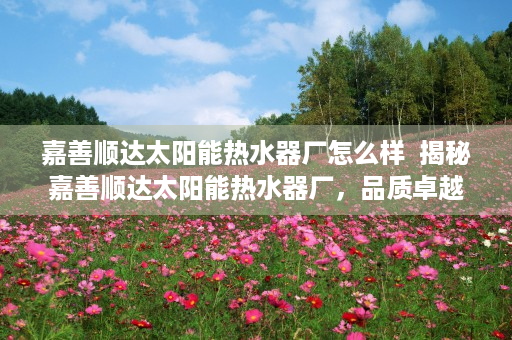 嘉善顺达太阳能热水器厂怎么样  揭秘嘉善顺达太阳能热水器厂，品质卓越，引领绿色生活新风尚
