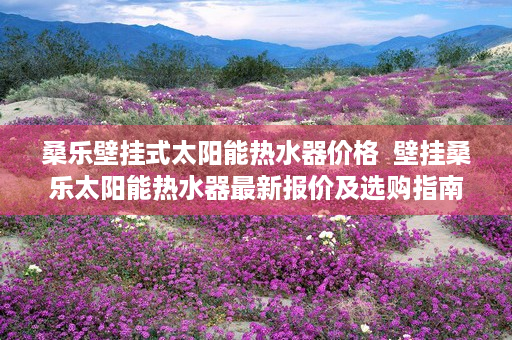 桑乐壁挂式太阳能热水器价格  壁挂桑乐太阳能热水器最新报价及选购指南