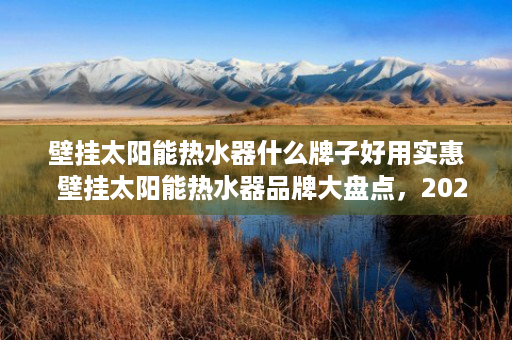 壁挂太阳能热水器什么牌子好用实惠  壁挂太阳能热水器品牌大盘点，2023年值得购买的五大品牌推荐