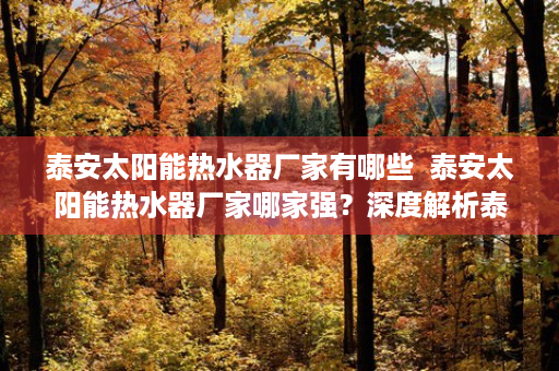 泰安太阳能热水器厂家有哪些  泰安太阳能热水器厂家哪家强？深度解析泰安太阳能热水器市场及选购技巧