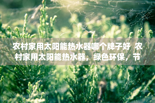 农村家用太阳能热水器哪个牌子好  农村家用太阳能热水器，绿色环保，节能省钱的好选择