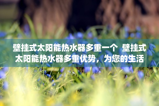 壁挂式太阳能热水器多重一个  壁挂式太阳能热水器多重优势，为您的生活节能环保新选择！