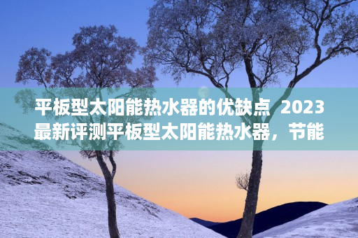 平板型太阳能热水器的优缺点  2023最新评测平板型太阳能热水器，节能环保的家居新宠